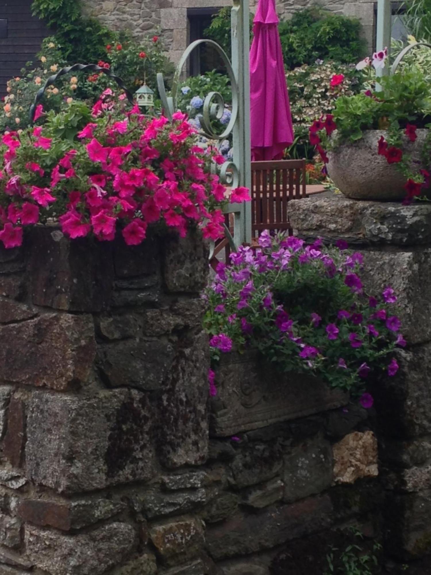 Le Petit Chateau, Matisse Noyal-Pontivy Exterior photo
